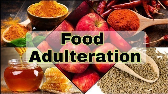 'Food Adulteration test at home: Chemistry Activity (Class 9)'