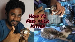 'How To Feed  Milk Newborn Kitten | Tamil | Vinothjustice'