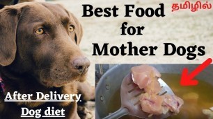'Best Food for Mother dogs | How to feed a Female dog that is nursing | Helps Your Dog Produce Milk'