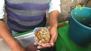 'Street food from Shillong (Meghalaya )'
