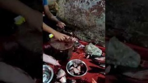 'fish cutting technique in  police Bajar Shillong | Rui fish cutting skills #shorts #youtubeshorts'