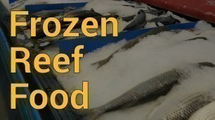 'Homemade Fish Food, an easy recipe for saving money feeding your reef tank'