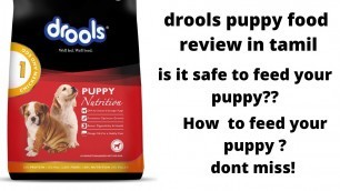 'WHAT TO FEED YOUR DOGS, PERGNANT, PUPPY | Drools dry food Tamil review |  நாய்க்கு healthy உணவு'