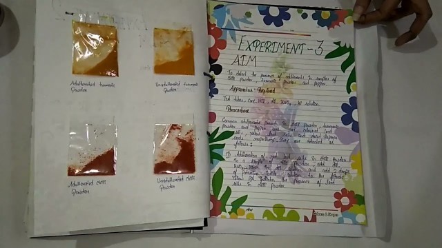 'Food Adulteration(Chemistry Project)'