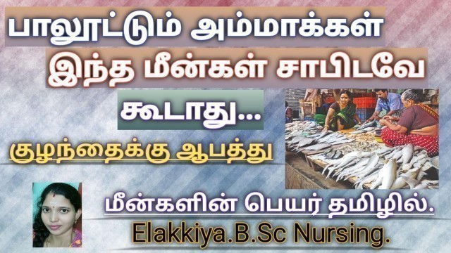 'fish not to eat during breast feeding in Tamil/ fish to avoid in breast feeding/ high mercury fishes'