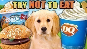 'Try Not To Eat - Dogs vs Dog Desserts! (Pup Cup, Doggy Donut, Puppy Latte) | People Vs. Food'