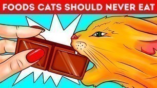 'Why Cats and Dogs Can\'t Eat Chocolate or Other Foods'