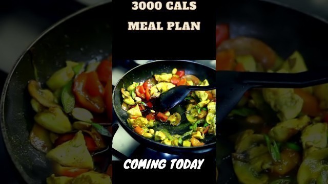 '#shorts 3000 calories meal plan coming tonight'