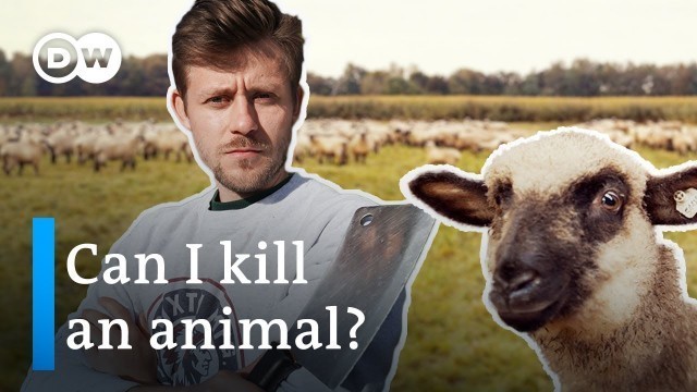'Killing an animal: What it actually means to eat meat'