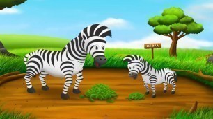 'Baby Learn Animals Sounds and Eating Habits | Kids Learning Feeding Animals'