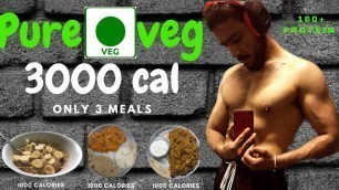 'Full day of eating 3000 calories pure veg 