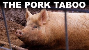 'Why billions of people won\'t eat pork (or why we don\'t know)'