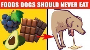 'Dangerous Foods Your Dog Should Never Eat'