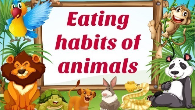 'Eating habits of animals || What do animals eat || Lesson with worksheets ||'