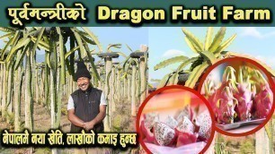 'पूर्वमन्त्री Lokendra Bist Magar को Dragon Fruit Farm, खेती गर्ने तरिका, Farming Full Information'