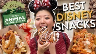 'WHAT TO EAT AT ANIMAL KINGDOM 