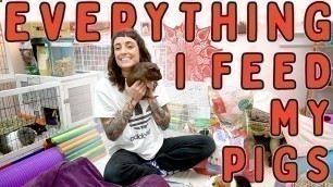 'My Guinea Pigs Food : Everything They Eat'