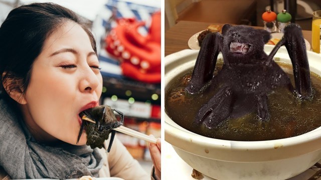 '17 Animals You Should NEVER Eat'