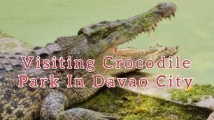 'VISITING CROCODILE PARK IN DAVAO CITY'