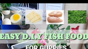 'Out of fish food? No problem! Lets make DIY fish food for Ornamental Fishes'