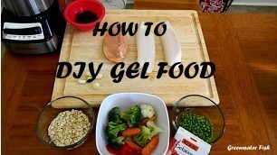 'How To Make DIY Gel Food for Fish'