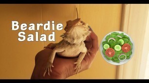 'Meal Prep for Bearded Dragons | How To Make a Beardie Salad!'