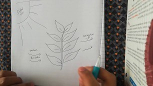 'Grade 5 Natural Science Food Chains Intro'