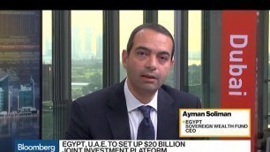 'Egypt Sovereign Wealth Fund CEO Likes Food, Infrastructure, Logistic Stocks'