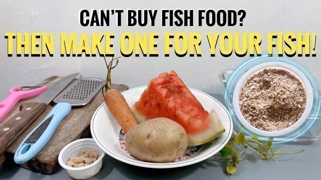 'DIY Fish Food for Small Fish, Guppy & Fry’s | Homemade Fish Food Powder and Flakes!'