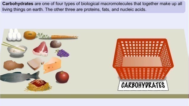 'What Are Carbohydrates? Importance of Carbs & High Carb Food'