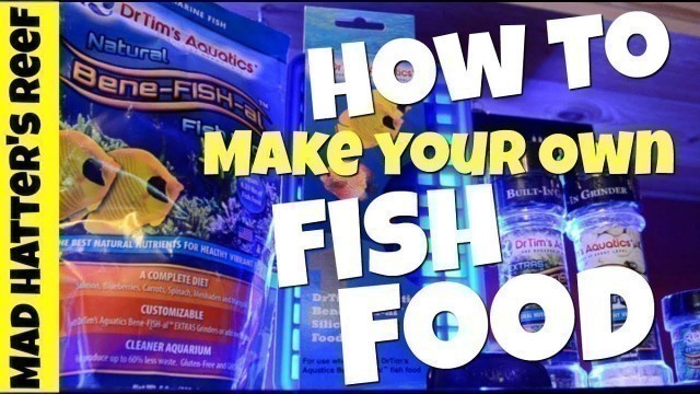'How To Make Your Own Fish Food'