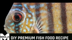 'DIY premium fish food recipe.  Feed your fishes nutrient-dense food.'