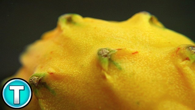 'Rare Foods You\'ve Never Heard Of: Yellow Dragon Fruit'