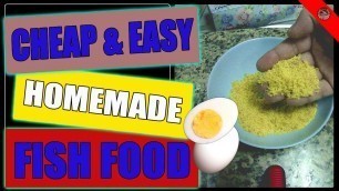 'Cheap & Easy Homemade Fish Food - High Protein'