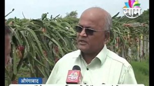 'Ramesh Pokarna\'s \'Dragon fruit\' farming success story'