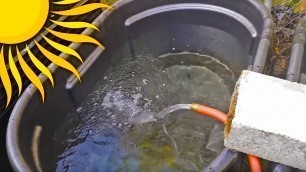'HOW TO: Easy DIY Fish Ponds with 100 Gallon Rubbermaid Tubs'