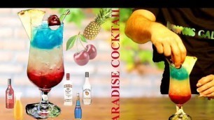 'Paradaise Cocktail / Beautiful Layered Cocktail / Food and Drinks Gallery'