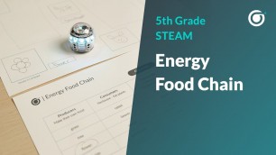 '5GR STEAM: Energy Food Chain [Full]'