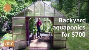 'Backyard aquaponics: DIY system to farm fish with vegetables'