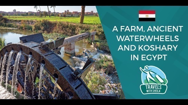 'A Farm, Ancient Waterwheels and Koshary in Egypt'