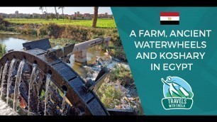 'A Farm, Ancient Waterwheels and Koshary in Egypt'