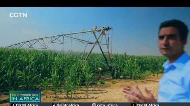 'FOOD IN AFRICA: Egypt moves to develop irrigation systems to save water, boost productivity'