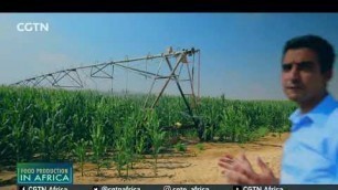'FOOD IN AFRICA: Egypt moves to develop irrigation systems to save water, boost productivity'