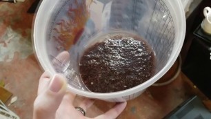 'Culturing blackworms - Live fish foods'