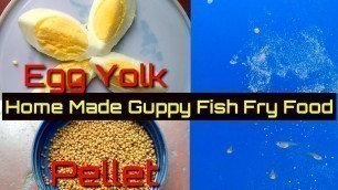 'Home Made Guppy Fish Fry Food'