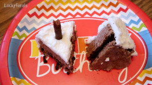 'Cat Food Birthday Cake Recipe For Cats - Happy Birthday Stella, Splash, and Simba!'