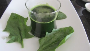 'ШПИНАТ КРАСИТЕЛЬ - Натуральный Краситель Зеленого цвета из шпината - Natural Food Coloring'