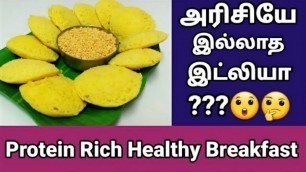 'protein rich breakfast for weight loss  | protein rich breakfast |Tamil'