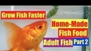 'Best DIY Homemade Aquarium fish food | How to Grow your fish faster | Zero Cost Fish Food at Home'