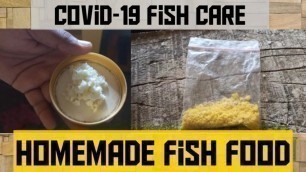 'How to make  fish food at home | DIY fishfood | TAMIL |வண்ணமீன் உணவு செய்முறை| Aquapets & farm'